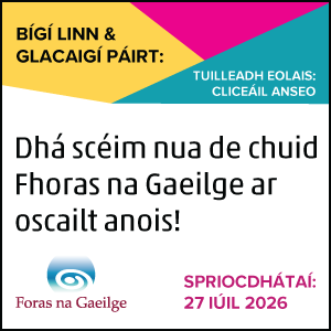 Foras na Gaeilge brat 0726