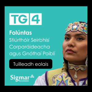 TG4 Folúntas bratach 0726