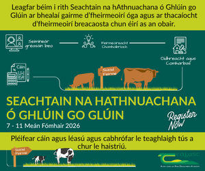 Teagasc 300 0826