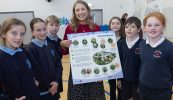 GAILEARAÍ: ‘Turas COGG’ seolta ag Tomás Ó Síocháin agus ‘Flora na hÉireann’ seolta ag Aedín Ní Thiarnaigh in Óstán Chonamara sna Forbacha