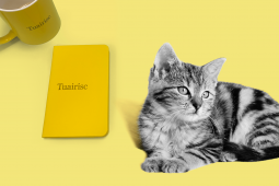 DIALANN TUAIRISC: Gaeilge a chuirfeadh an cat amach, ainmneacha Gaeilge Met Éireann imithe le gaoth