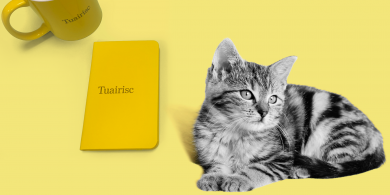 DIALANN TUAIRISC: Gaeilge a chuirfeadh an cat amach, ainmneacha Gaeilge Met Éireann imithe le gaoth