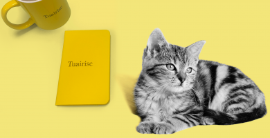 DIALANN TUAIRISC: Gaeilge a chuirfeadh an cat amach, ainmneacha Gaeilge Met Éireann imithe le gaoth