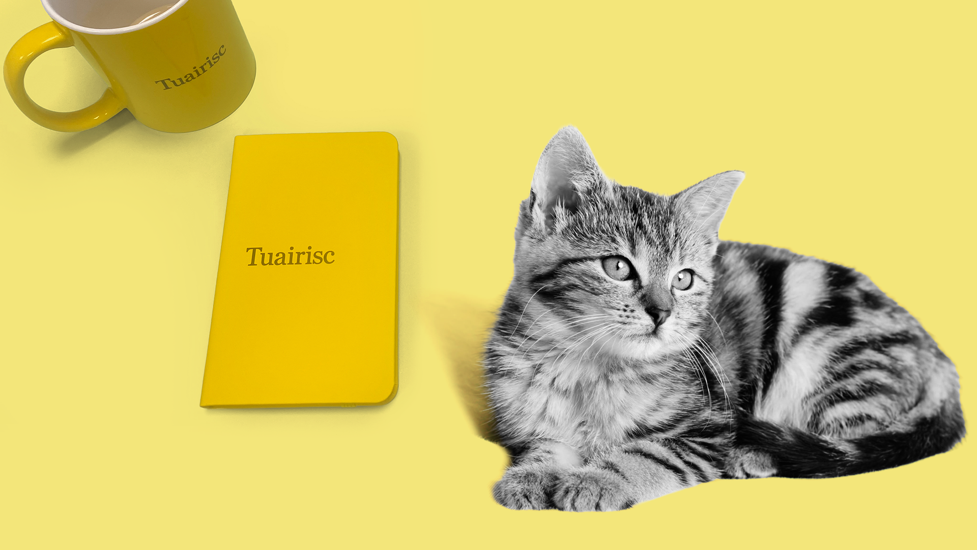 DIALANN TUAIRISC: Gaeilge a chuirfeadh an cat amach, ainmneacha Gaeilge Met Éireann imithe le gaoth
