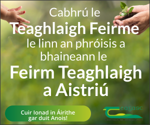 Teagasc 300 1026