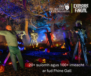 fingal 300 1026