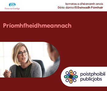 Foras na Gaeilge 300 1026