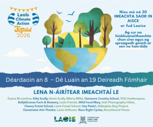 Laois Climate Action Fleadh 300 1026