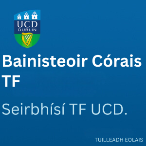 UCD Bainisteoir Córais TF 300 1026