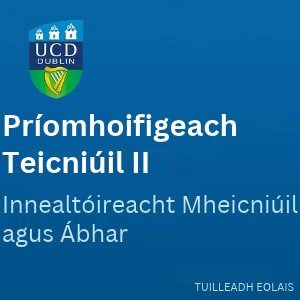 UCD Príomhoifigeach Teicniúil II 300 1026
