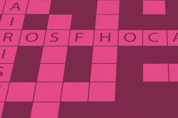 Crosfhocal d’fhoghlaimeoirí 3