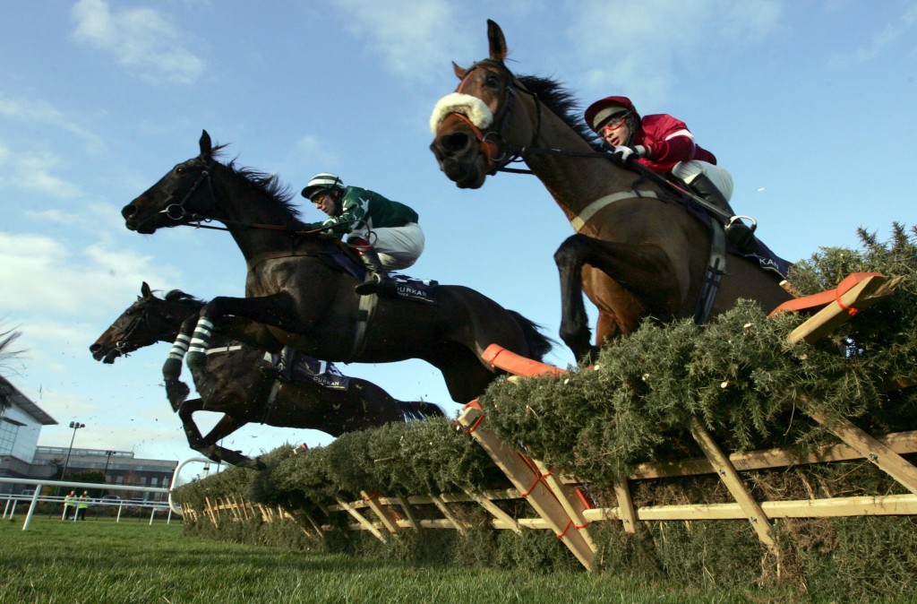 Horses clear the first fence in the first race of the day 26/12/2008