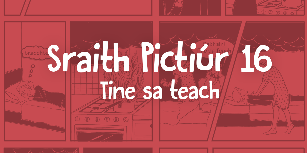 Sraith Pictiúr 16 – Tine sa Teach (Cartlann 2016)
