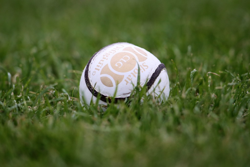 General view of a sliotar 4/5/2014