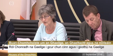 Coiste Oireachtais ag tacú le moltaí an Choimisinéara maidir le reachtaíocht teanga a láidriú