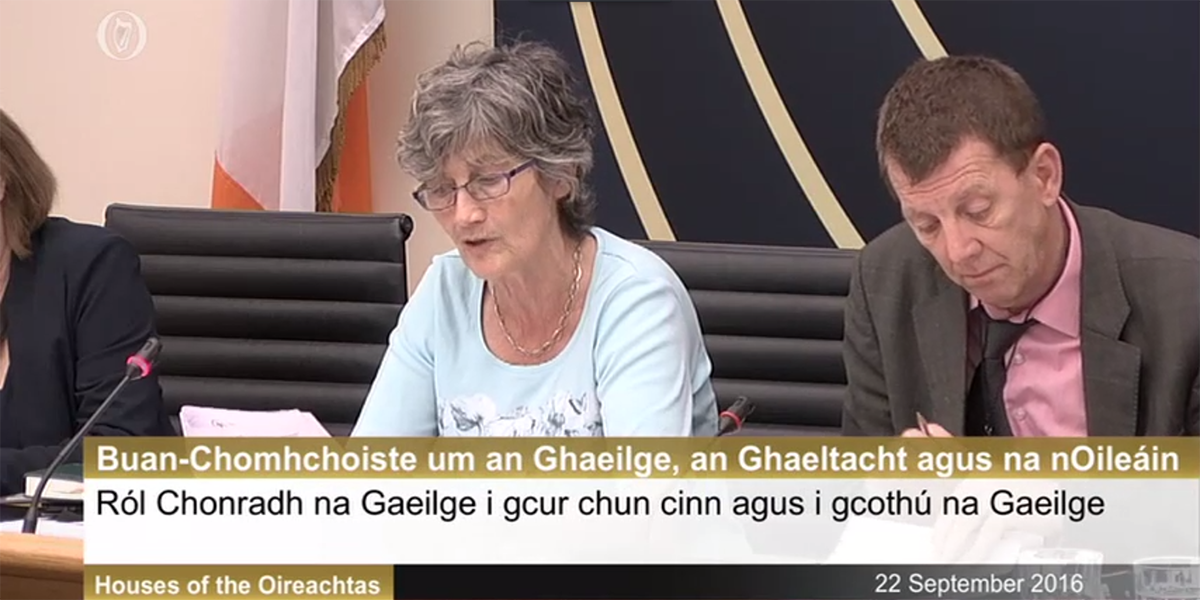 Cruinniú urghnách á lorg le Coiste Oireachtais na Gaeilge faoi chás na teanga sa Bhuiséad