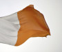 Rogha le tabhairt d’iarratasóirí ar shaoránacht na hÉireann scrúdú nua teanga a dhéanamh i nGaeilge