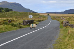 Cuirfidh mé geall leat go raibh Gaeilge ag do mhuintir romhat i gCúl an Chlaí…