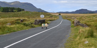 Feachtas an N59 imithe i gcion ar údaráis na mbóithre