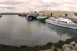 €7 milliún ceadaithe ag Roinn na Mara do thograí Gaeltachta