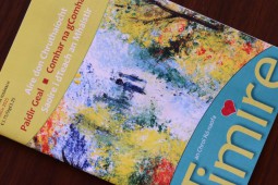 Baol ann nach mairfidh an t-irisleabhar An Timire bliain eile gan socrú maoinithe